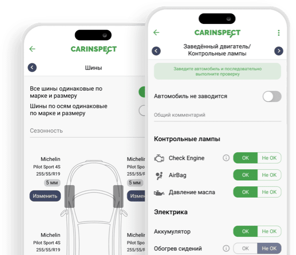 Каринспект